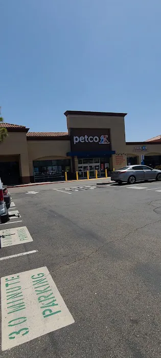 Petco Picture 7