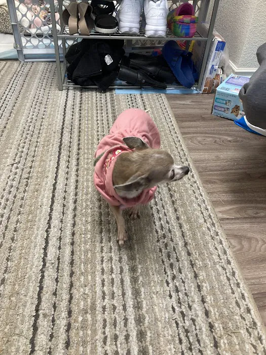 Petco Picture 9