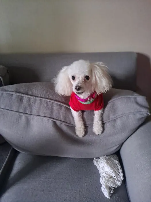 Petco Picture 2