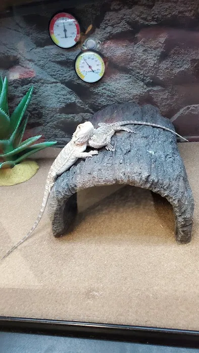 Petco Picture 3