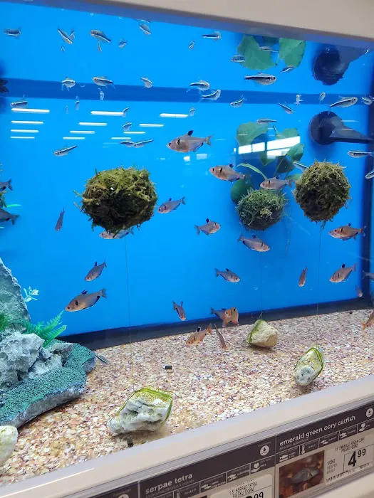 Petco Picture 6