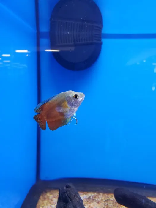 Petco Picture 8