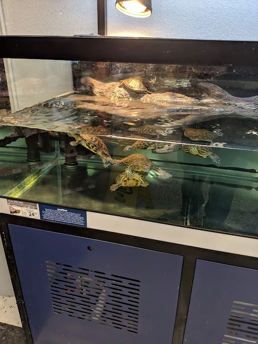 Petco Picture 9