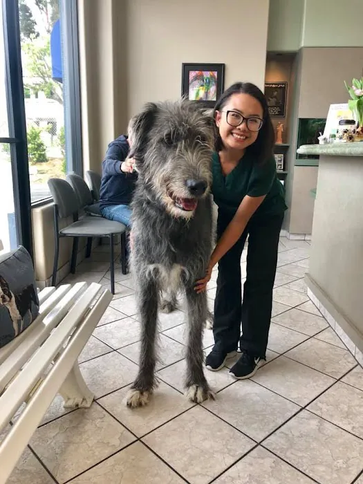 Newbury Park Veterinary Clinic Picture 6