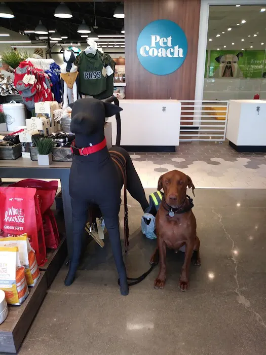 Petco Picture 9