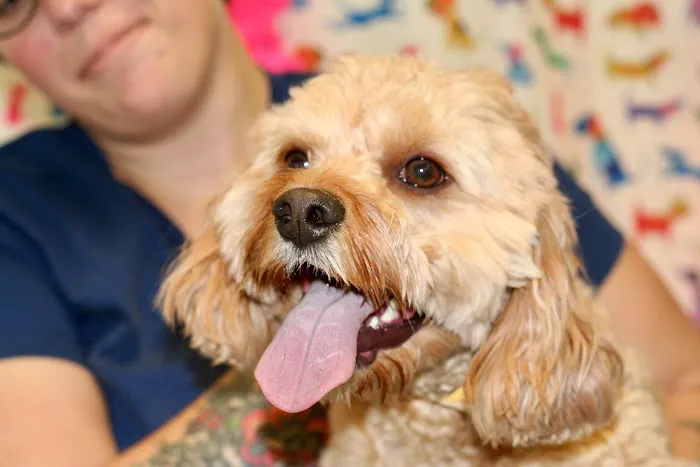 Anza Animal Clinic Picture 4
