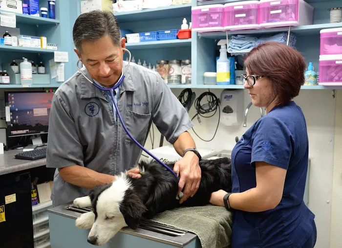 Anza Animal Clinic Picture 9