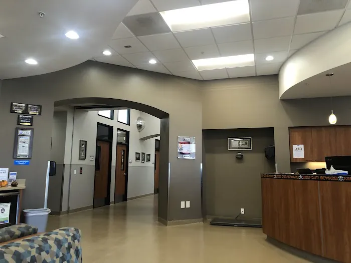 Conejo Valley Veterinary Hospital Picture 5