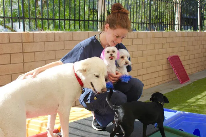 Conejo Valley Veterinary Hospital Picture 7