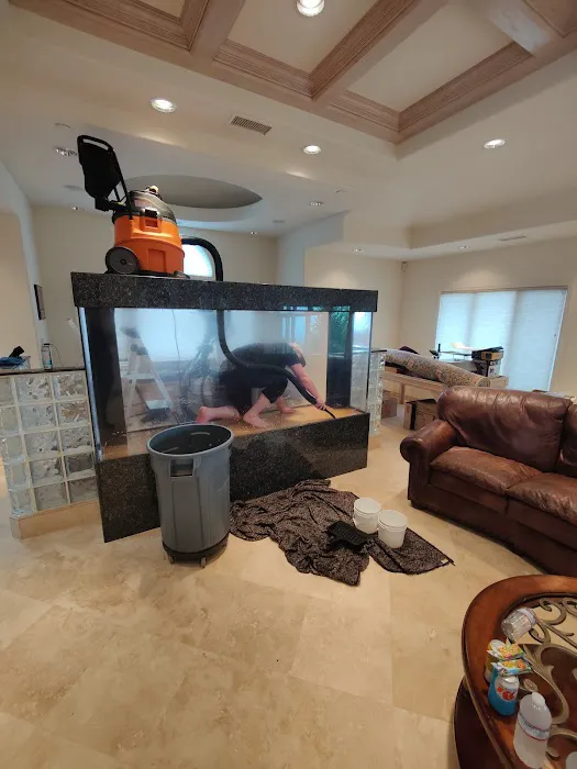 Aquatica Corals and Custom Aquariums Picture 8