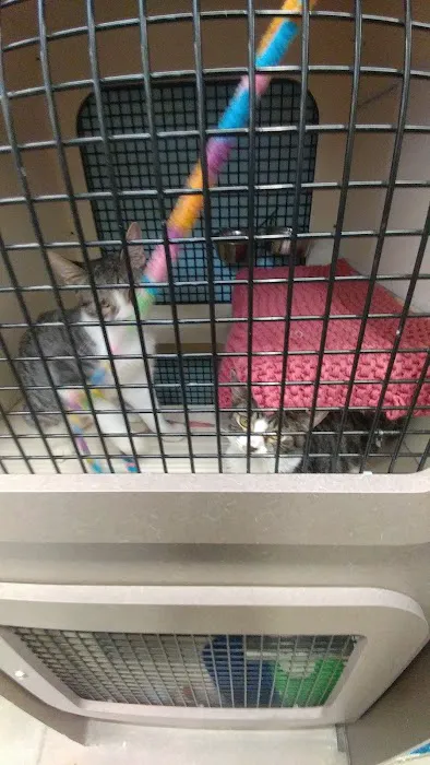 Unleashed by Petco Picture 1