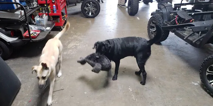 Unleashed by Petco Picture 4