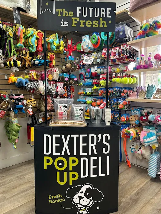 Dexter's Deli - Carlsbad Picture 9