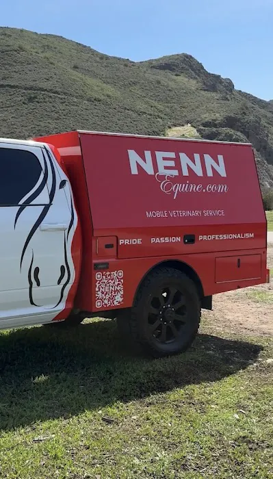 NENN Equine Picture 7