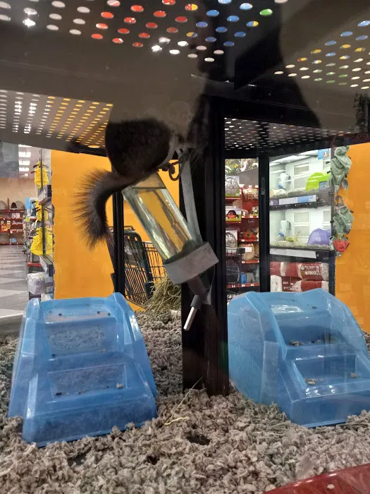 Petco Picture 2
