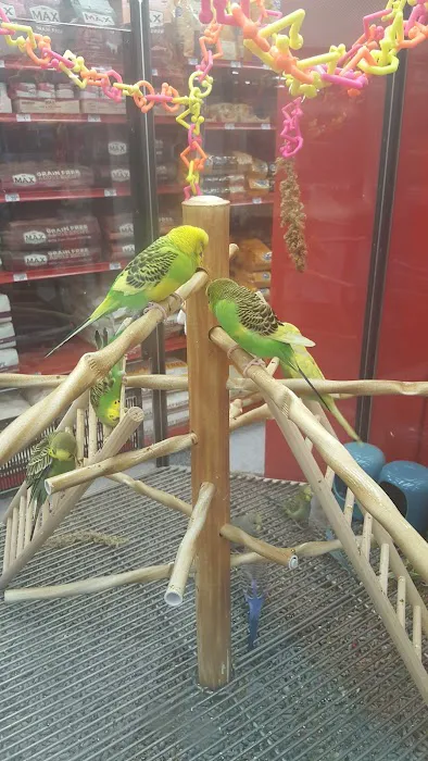Petco Picture 7
