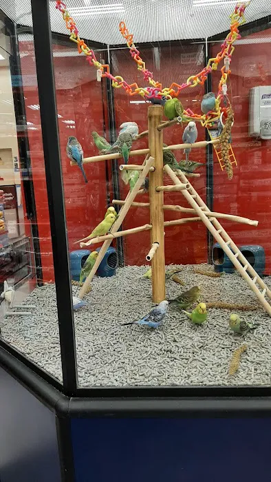 Petco Picture 4