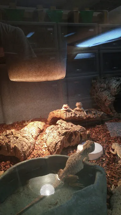 LLL Reptile & Supply Oceanside Picture 1
