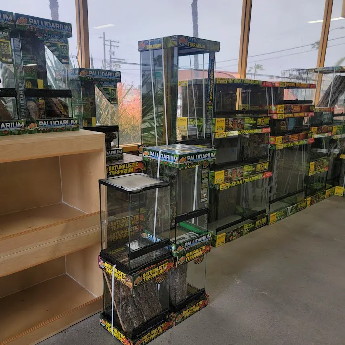 LLL Reptile & Supply Oceanside Picture 4