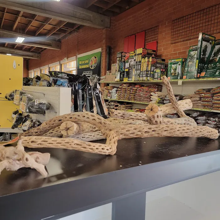 LLL Reptile & Supply Oceanside Picture 2