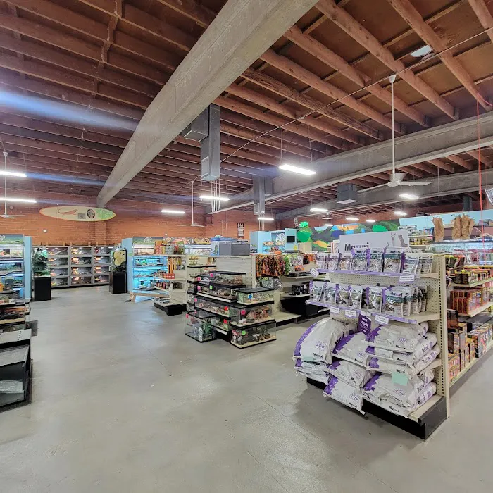 LLL Reptile & Supply Oceanside Picture 3