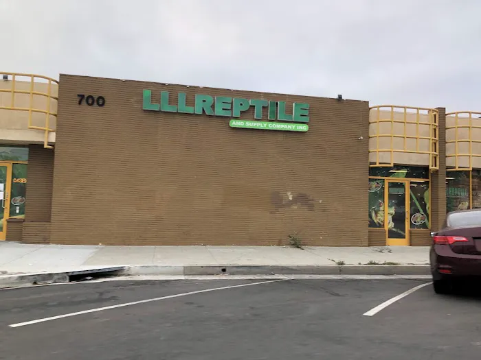 LLL Reptile & Supply Oceanside Picture 7