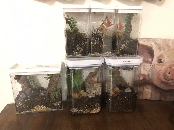 LLL Reptile & Supply Oceanside Picture 5