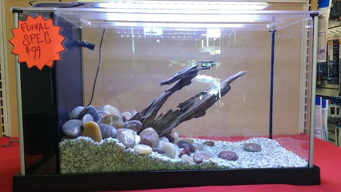 The Love Aquarium Picture 1