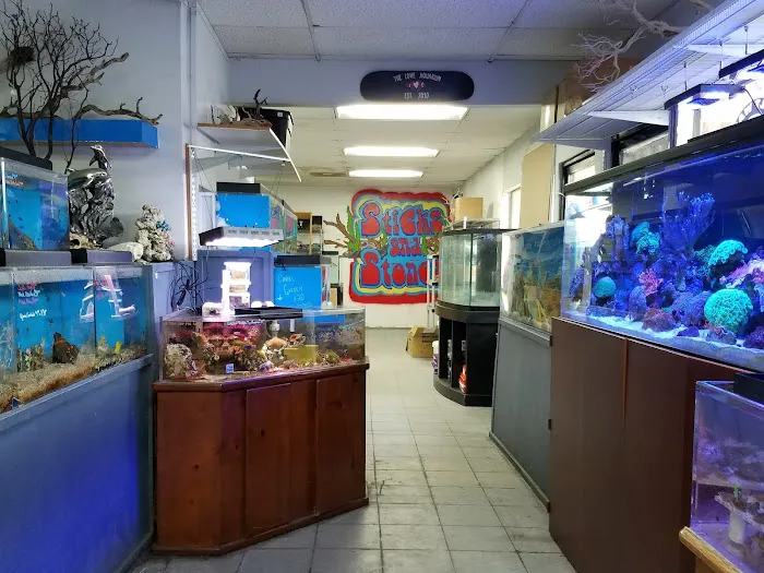 The Love Aquarium Picture 6