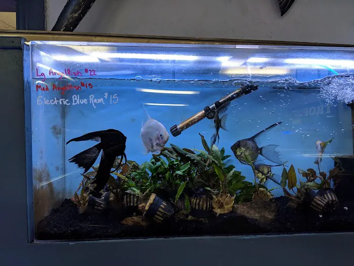 The Love Aquarium Picture 3