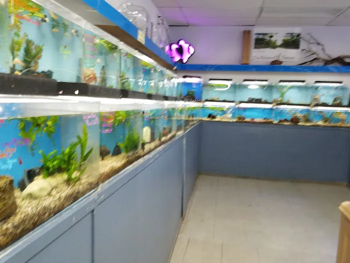 The Love Aquarium Picture 4