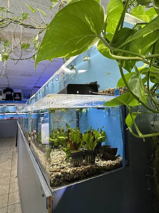 The Love Aquarium Picture 7