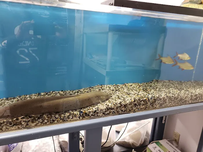 The Love Aquarium Picture 8