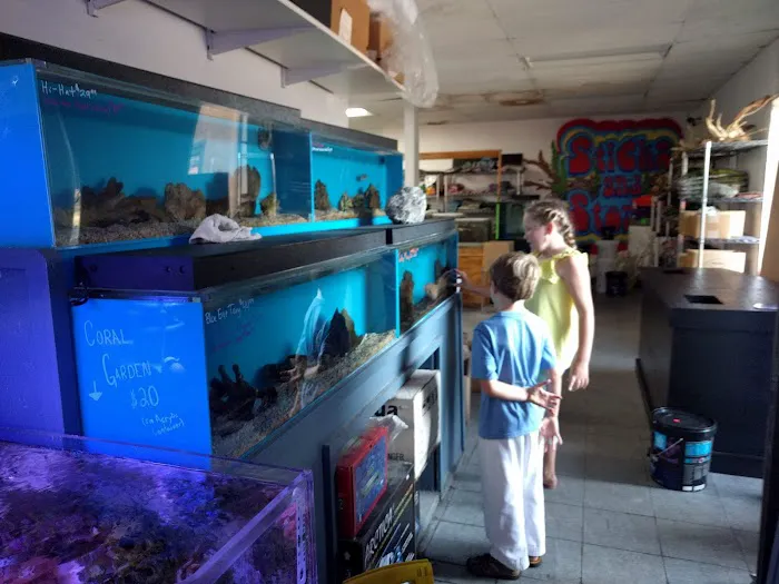 The Love Aquarium Picture 9