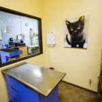 Moorpark Veterinary Hospital