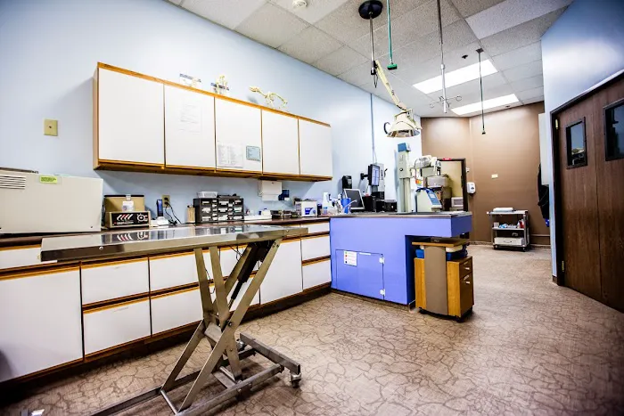 Moorpark Veterinary Hospital Picture 3