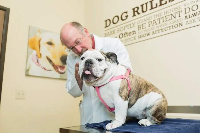 Moorpark Veterinary Hospital Picture 4