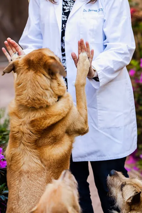 Moorpark Veterinary Hospital Picture 10