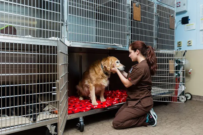 Moorpark Veterinary Hospital Picture 8
