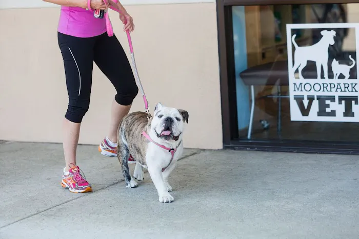Moorpark Veterinary Hospital Picture 9