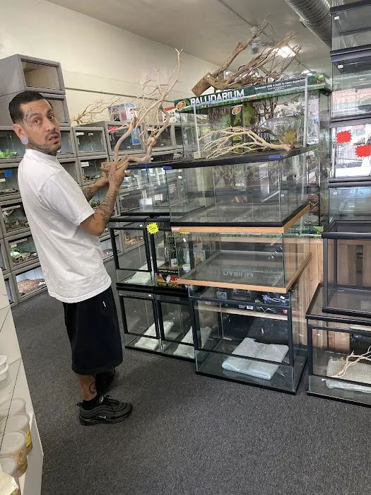 LLLReptile and Supply Escondido Picture 1