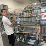 LLLReptile and Supply Escondido