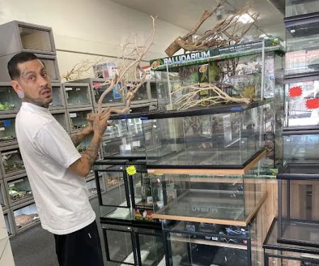 LLLReptile and Supply Escondido