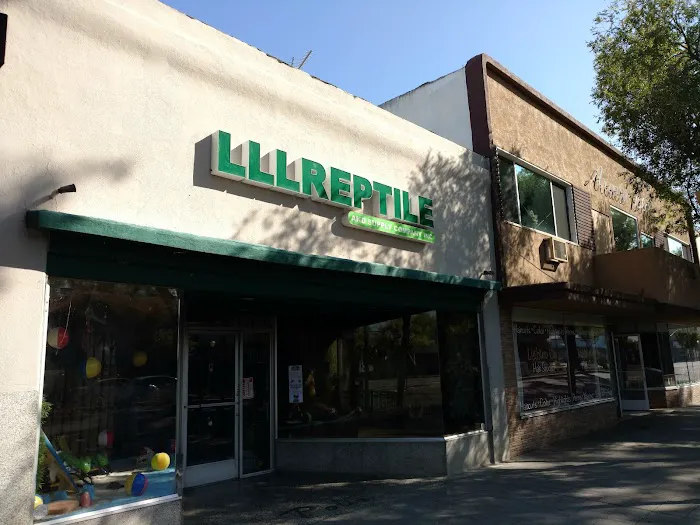 LLLReptile and Supply Escondido Picture 2