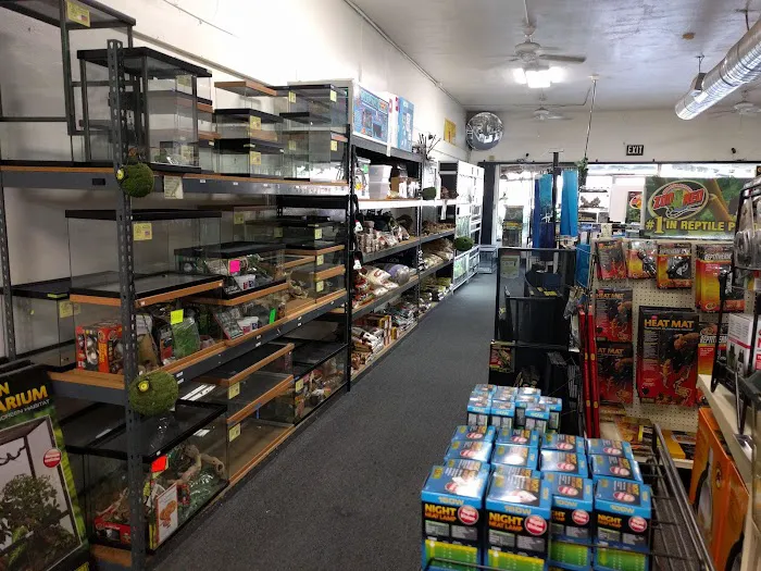 LLLReptile and Supply Escondido Picture 10