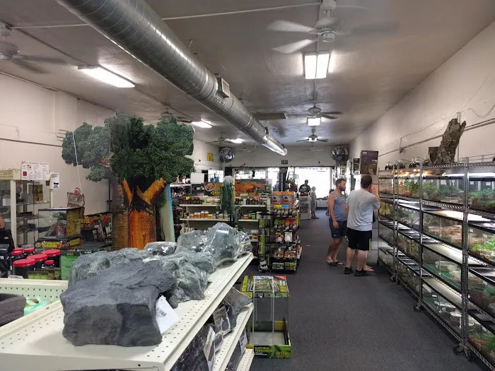 LLLReptile and Supply Escondido Picture 9