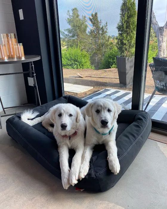 Petco Picture 4