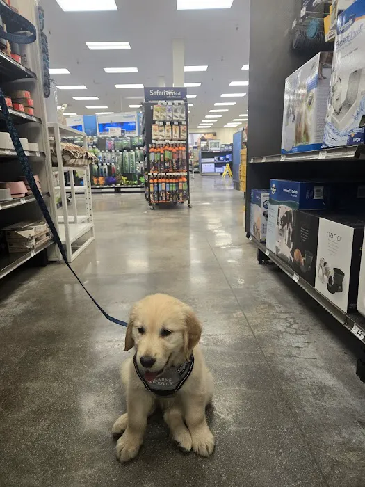 Petco Picture 7