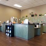 Arroyo Vista Veterinary Hospital