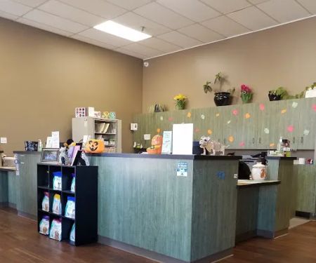 Arroyo Vista Veterinary Hospital